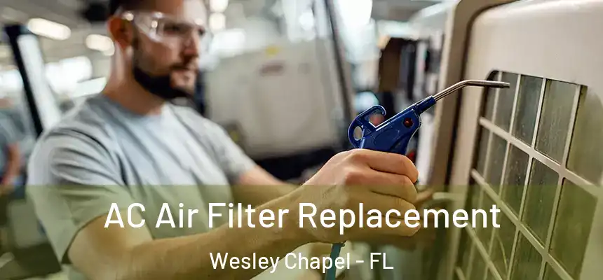 AC Air Filter Replacement Wesley Chapel - FL