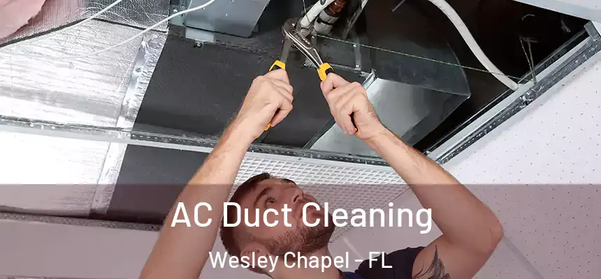  AC Duct Cleaning Wesley Chapel - FL