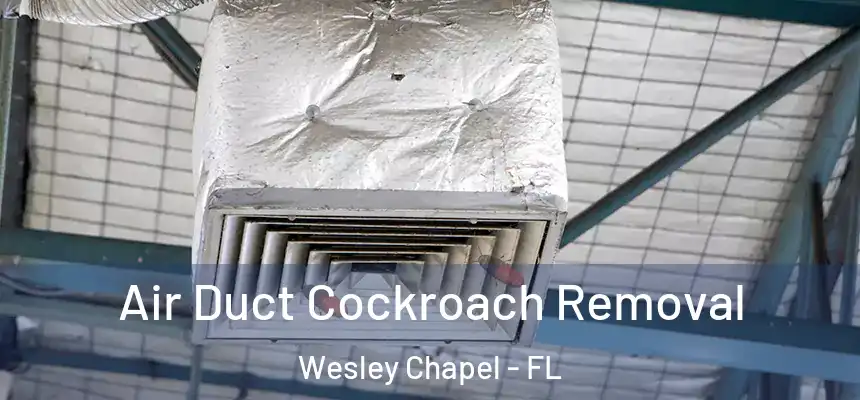 Air Duct Cockroach Removal Wesley Chapel - FL