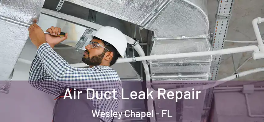 Air Duct Leak Repair Wesley Chapel - FL