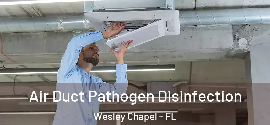 Air Duct Pathogen Disinfection Wesley Chapel - FL