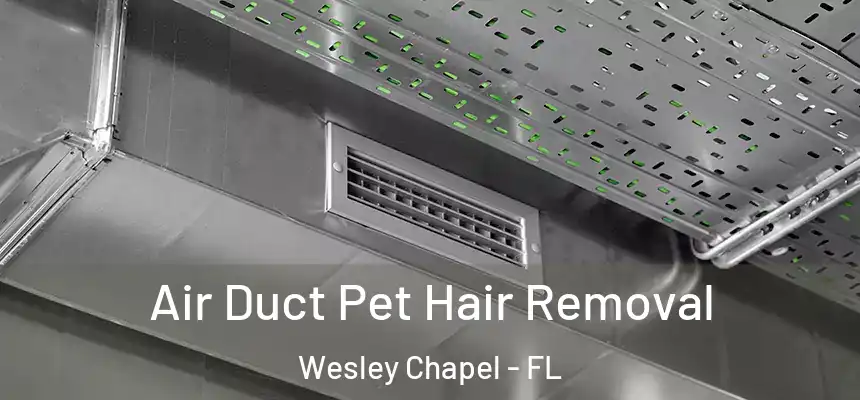 Air Duct Pet Hair Removal Wesley Chapel - FL