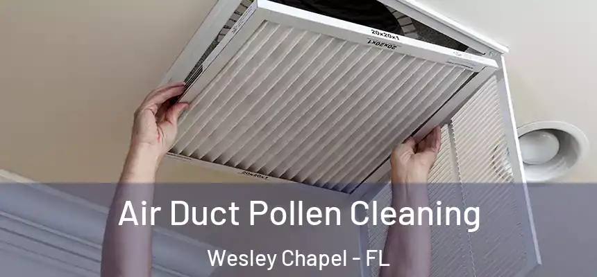 Air Duct Pollen Cleaning Wesley Chapel - FL