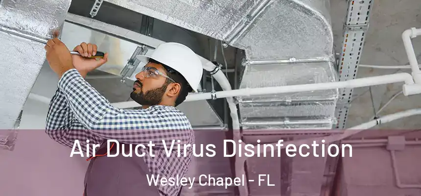 Air Duct Virus Disinfection Wesley Chapel - FL