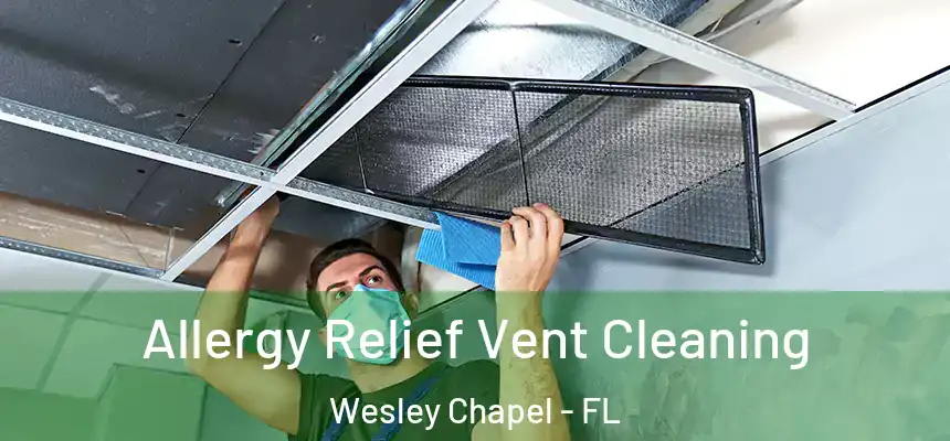  Allergy Relief Vent Cleaning Wesley Chapel - FL