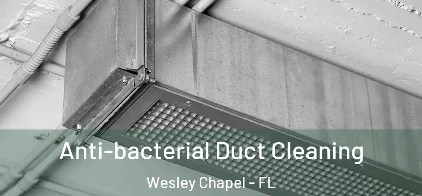  Anti-bacterial Duct Cleaning Wesley Chapel - FL