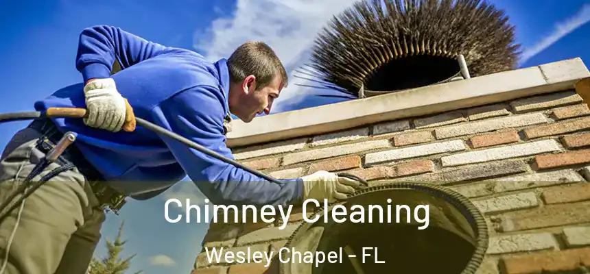  Chimney Cleaning Wesley Chapel - FL