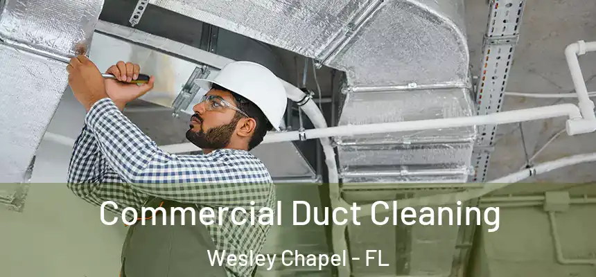 Commercial Duct Cleaning Wesley Chapel - FL