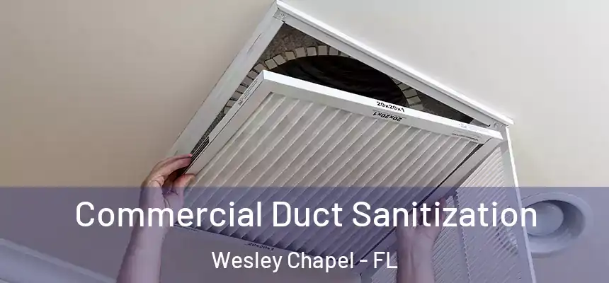 Commercial Duct Sanitization Wesley Chapel - FL