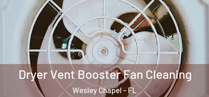 Dryer Vent Booster Fan Cleaning Wesley Chapel - FL