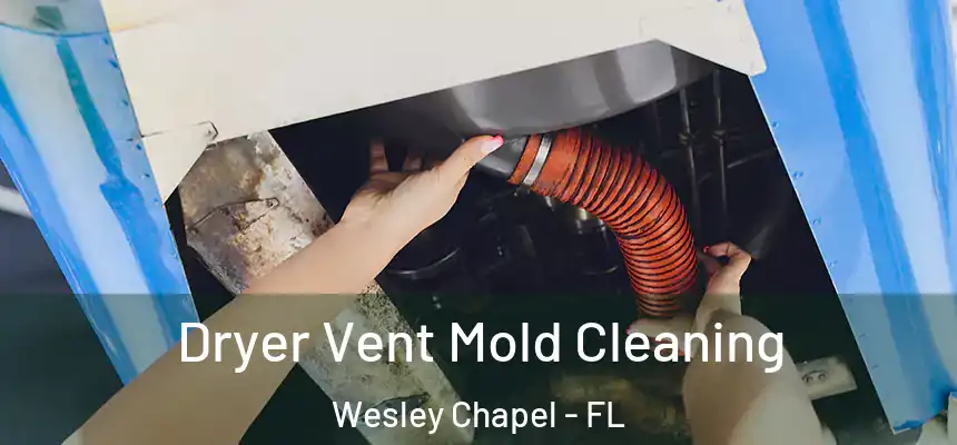 Dryer Vent Mold Cleaning Wesley Chapel - FL