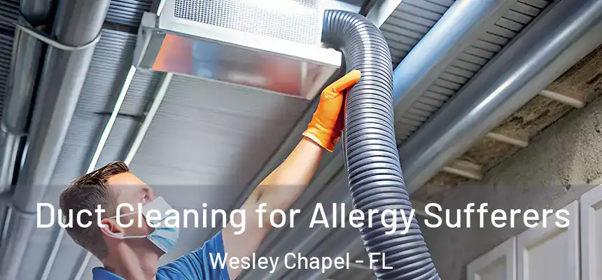  Duct Cleaning for Allergy Sufferers Wesley Chapel - FL