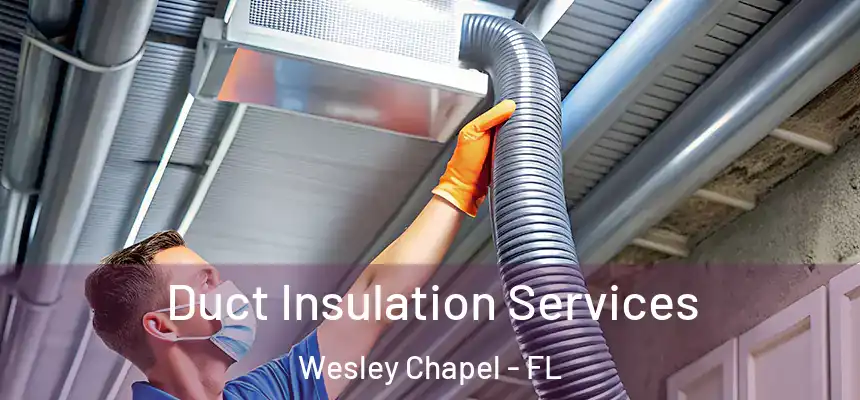 Duct Insulation Services Wesley Chapel - FL