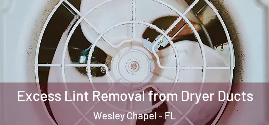 Excess Lint Removal from Dryer Ducts Wesley Chapel - FL