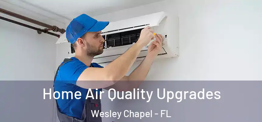  Home Air Quality Upgrades Wesley Chapel - FL