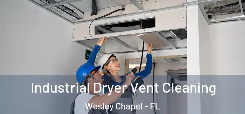 Industrial Dryer Vent Cleaning Wesley Chapel - FL