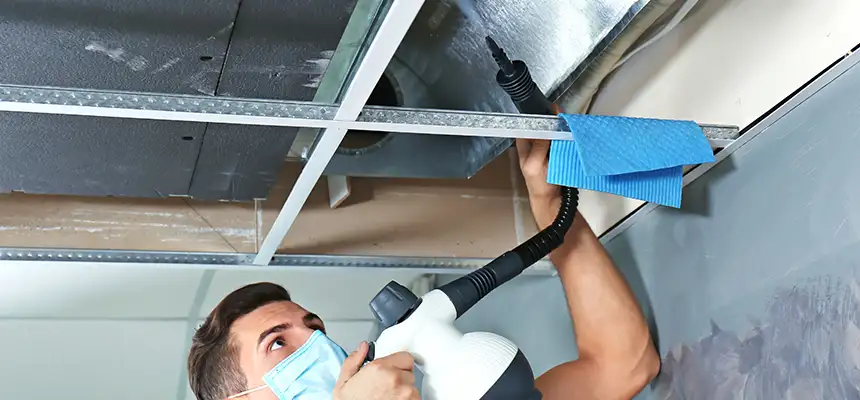 Our Air Duct Rodent Removal Services in Wesley Chapel, FL