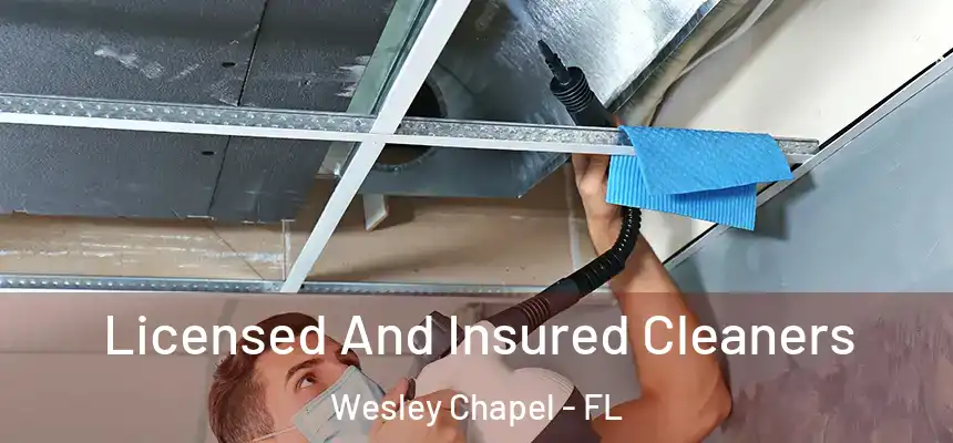 Licensed And Insured Cleaners Wesley Chapel - FL