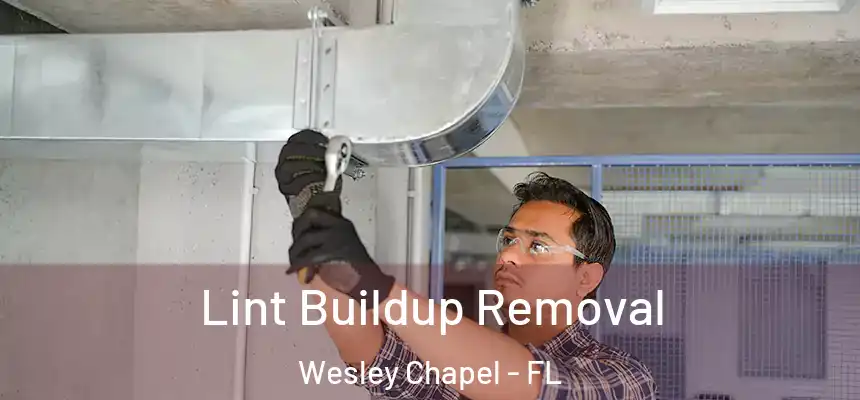  Lint Buildup Removal Wesley Chapel - FL
