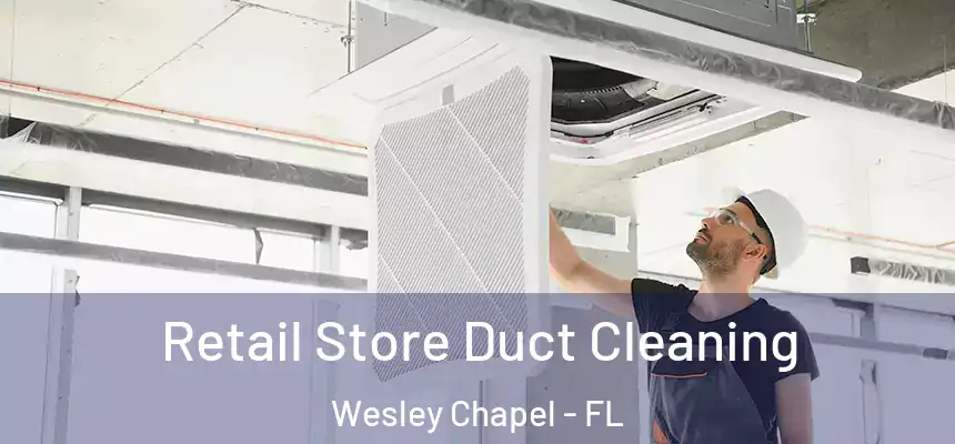  Retail Store Duct Cleaning Wesley Chapel - FL