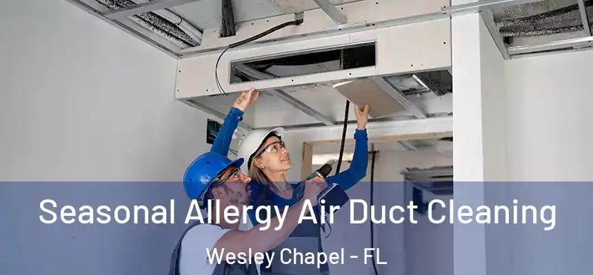 Seasonal Allergy Air Duct Cleaning Wesley Chapel - FL