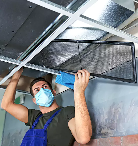 About Air Duct Bacteria Removal in Wesley Chapel