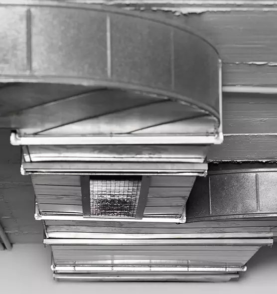 Professional Air Duct Pet Hair Removal in Wesley Chapel, FL