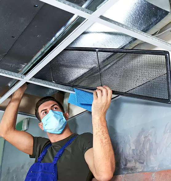 Professional Air Duct Pollen Cleaning in Wesley Chapel, FL