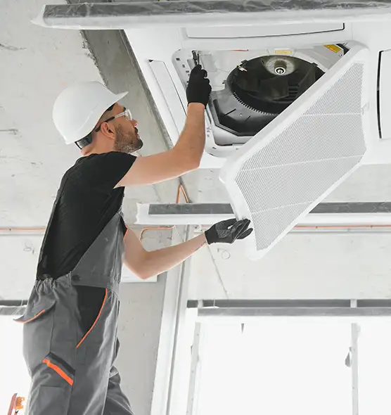 About Air Duct Rodent Removal in Wesley Chapel, FL