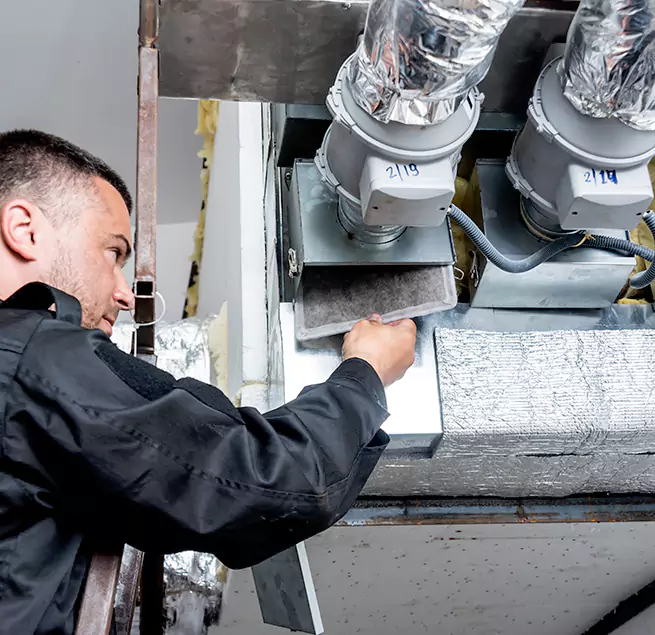 Why Homeowners & Businesses Trust Us in Wesley Chapel, FL?