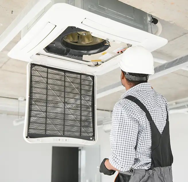 Why Homeowners & Businesses Trust Us in Wesley Chapel, FL?