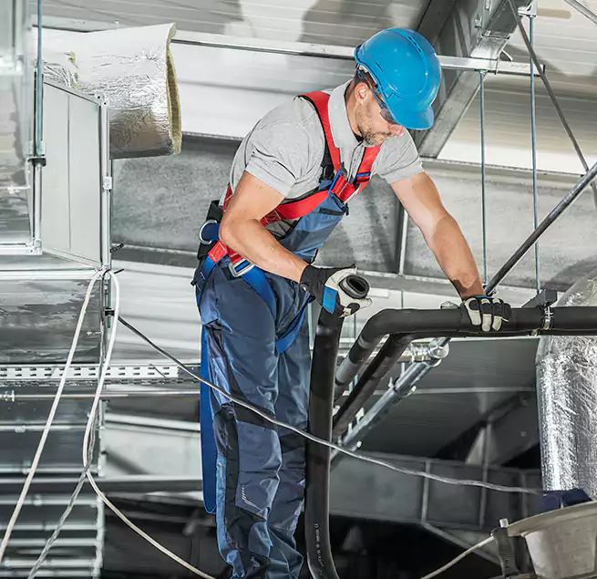 Why Homeowners & Businesses Trust Us in Wesley Chapel, FL?