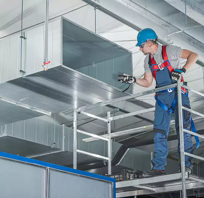 Why Homeowners & Businesses Trust Us in Wesley Chapel, FL?