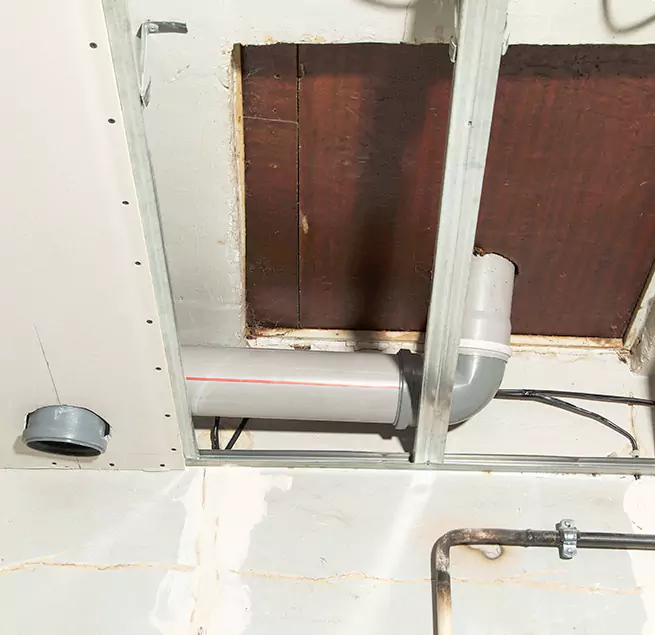 Why Homeowners & Businesses Trust Us in Wesley Chapel, FL?