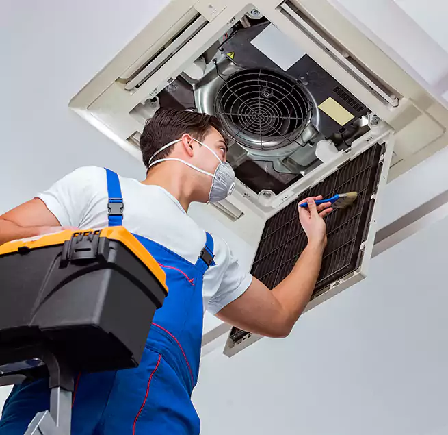 Why Homeowners & Businesses Trust Us in Wesley Chapel, FL