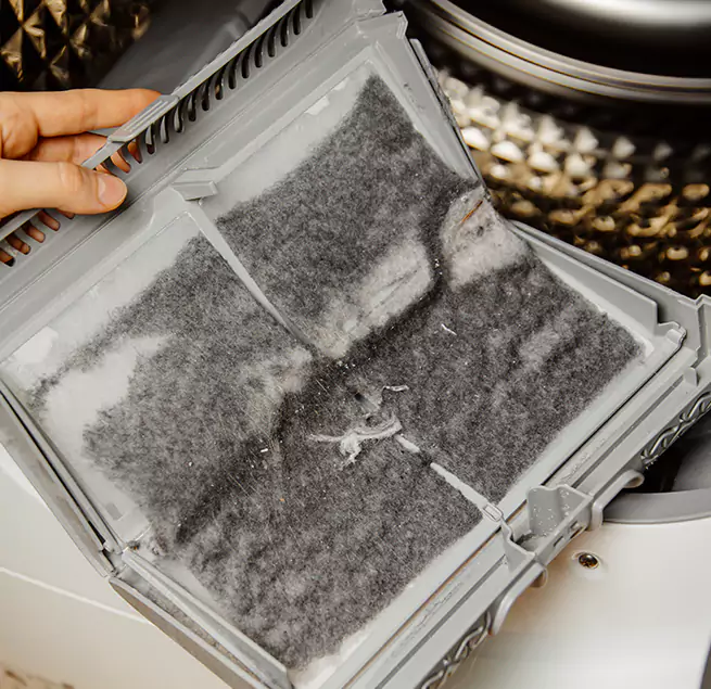  Why Homeowners & Businesses Trust Us Wesley Chapel, FL?