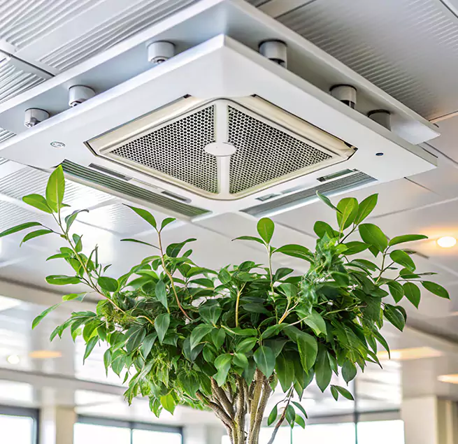 Why Homeowners & Businesses Trust Us in Wesley Chapel, FL?