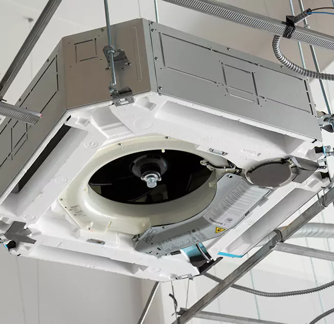 Why Homeowners & Businesses Trust Us in Wesley Chapel, FL?