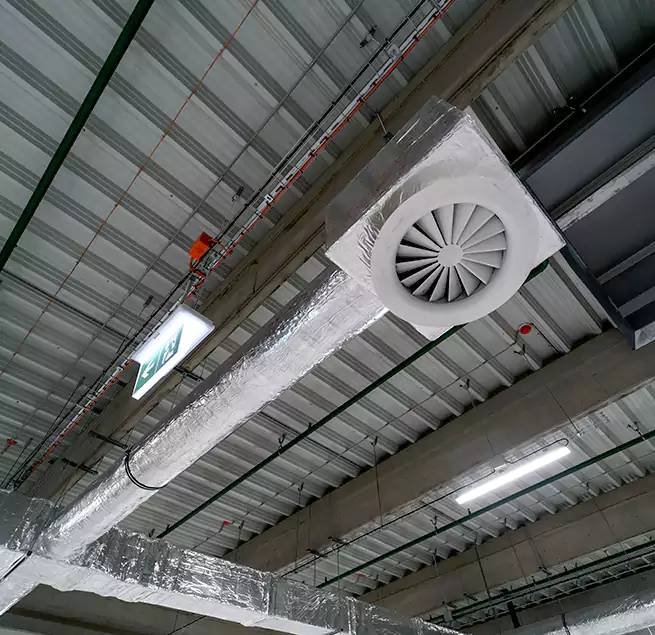 Why Homeowners & Businesses Trust Us in Wesley Chapel, FL