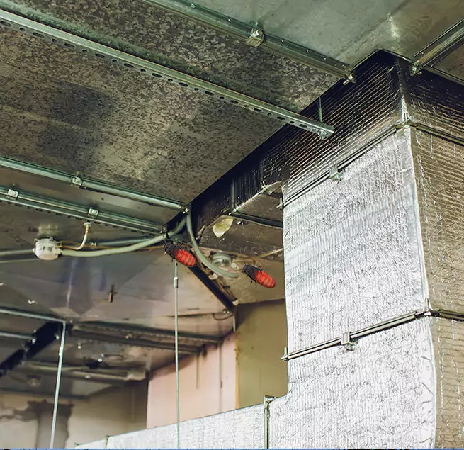 Why Homeowners & Businesses Trust Us Wesley Chapel, FL?