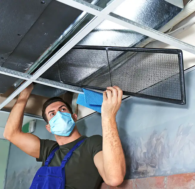 Why Homeowners & Businesses Trust Us in Wesley Chapel, FL?