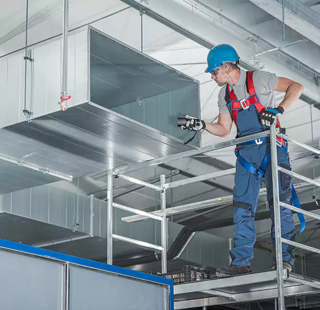 Why Homeowners & Businesses Trust Us Wesley Chapel, FL