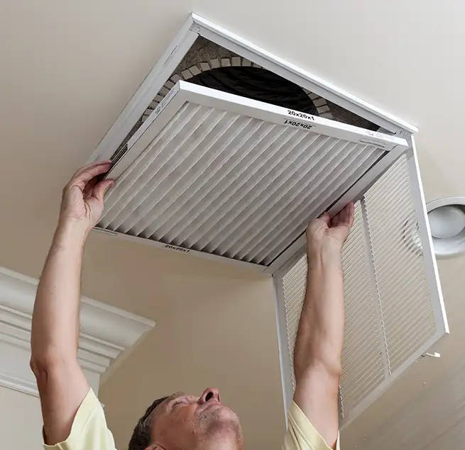 Why Homeowners & Businesses Trust Us in Wesley Chapel, FL?