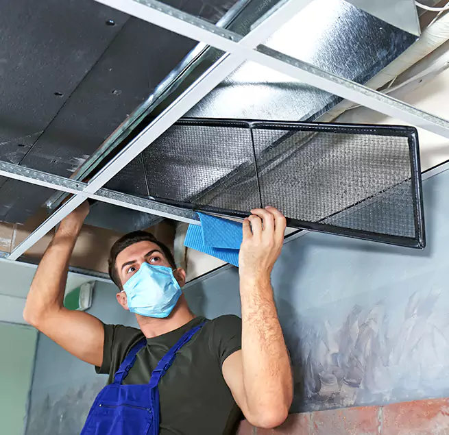 Why Homeowners & Businesses Trust Us in Wesley Chapel, FL?