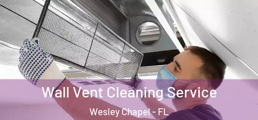 Wall Vent Cleaning Service Wesley Chapel - FL